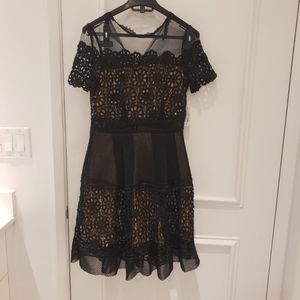 Aqua lace black dress new with tag